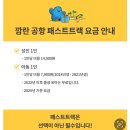 전직 승무원이 탑승해 본 당일 예약 가능한 나트랑 몬스터 택시