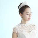 베레카 이미지