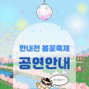은혜와진리교회 앞 | [경기/광명]2026년 4월 한내천 봄꽃축제 총정리｜공연 일정·주차·맛집·벚꽃 포인트까지