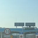 충남 당일치기 여행 ( 천장호출렁다리 - 청양 알프스 마을 - 예산 시장 - 벚꽃언덕) 정보 및 솔직 후기