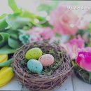 안식관소규모요양센터 이미지