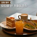 뮤지엄호두 | 원주 뮤지엄산 카페테라스 샌드위치 식사 후기