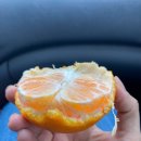 제주후니네 이미지