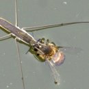 고담낚시터 이미지