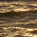 북촌 사사공일 이미지