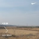 파란봄혜원한의원 | 봄 근처도 못간