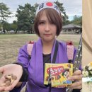 매일관광주식회사 이미지