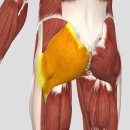 PT특별관 이미지