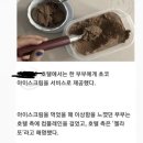 충격적인 호주호텔 실화사건 이미지