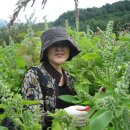 예슬농장 이미지