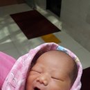 삼신농장 이미지