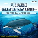 고래사냥 - 금정구 서동로 200 | 고래사냥