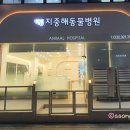 지중해동물병원
