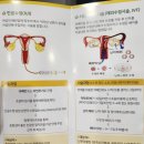 연세의원 | 안산 연세아이소망여성의원 시험관 성공 후기 (feat. 타임랩스)