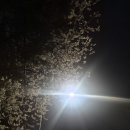 [퇴근길] 연필화 이미지