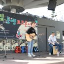 우물안 개구리 콘서트 이미지