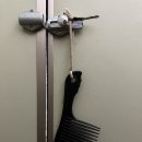 연안생태찌개 이미지