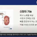 (주)고려메디칼 이미지