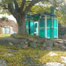 청산도봄펜션