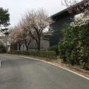 삼성전원 이미지