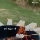 빌라드도화리