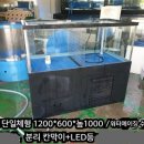 워터숙성정육점