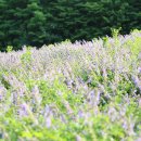 범당골농장 이미지