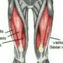 파워헬스사우나 이미지