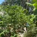 북풍농장 이미지