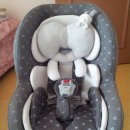 파코라반베이비 이미지