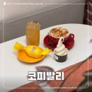 코피발리 | 대전 도안호수공원 애견 동반 가능한 디저트 맛집 코피발리 카페 솔직 후기