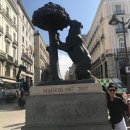 솔사랑민박 이미지