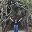 공원복권 | [대만 여행 #1-3] 타이베이 (영수증 복권 / 예류지질공원 / 스펀 라오제 / 지우펀 / 대만 마사지)