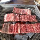 UR(포천시)-[화동로]-하-1403 | [포천 애견동반식당 :: 이동강변갈비(내돈내산 솔직후기)]