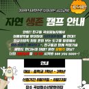 봉황섬터 이미지