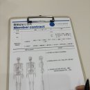 바디조짐 | [수원/광교] 매탄동, 광교중앙역PT 운동 부상 체형교정 클래스바디 후기