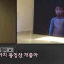 힐링로즈 네이버블로그