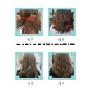 레드폴링헤어