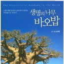 생명의 나무 바오밥 -김기중 지음 | 김기중 사진 | 지오북 | 이미지