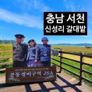 신성리갈대밭습지생태길 네이버블로그