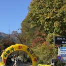 좋은사람들 산악회 계룡산 단풍산행 후기