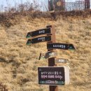 도도리파크(실외) | 세종 도도리파크 아이랑 가기 좋은 곳, 무료 실내놀이터, 무료 모래놀이 가능한 곳(도토리파크 아님)