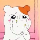 24시청주i동물병원 이미지