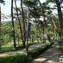 (주)자연과자원 이미지