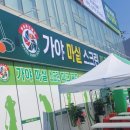 가야스크린 이미지