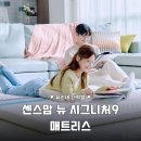 뉴센스 | 센스맘 매트리스 솔직 후기 가성비 끝판왕 뉴 시그니처9 장단점 총정리