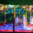 영월약수터 캠핑장 이미지