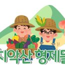 유로야채과일