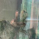 소란농장 이미지