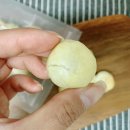 바브로(babro) | 애견수제간식 쇼핑몰 맛있는 바브로 강아지 수제간식 babro 연어져키, 강아지 홈런볼 먹여본 후기